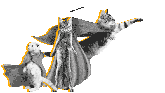 PRO-котики