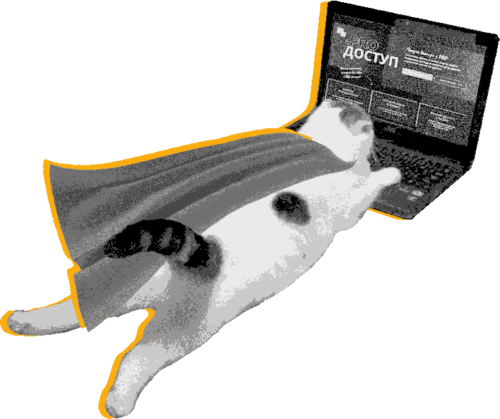 PRO-cats